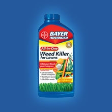 6125_Image All-In-One Weed Killer for Lawns Concentrate.jpg